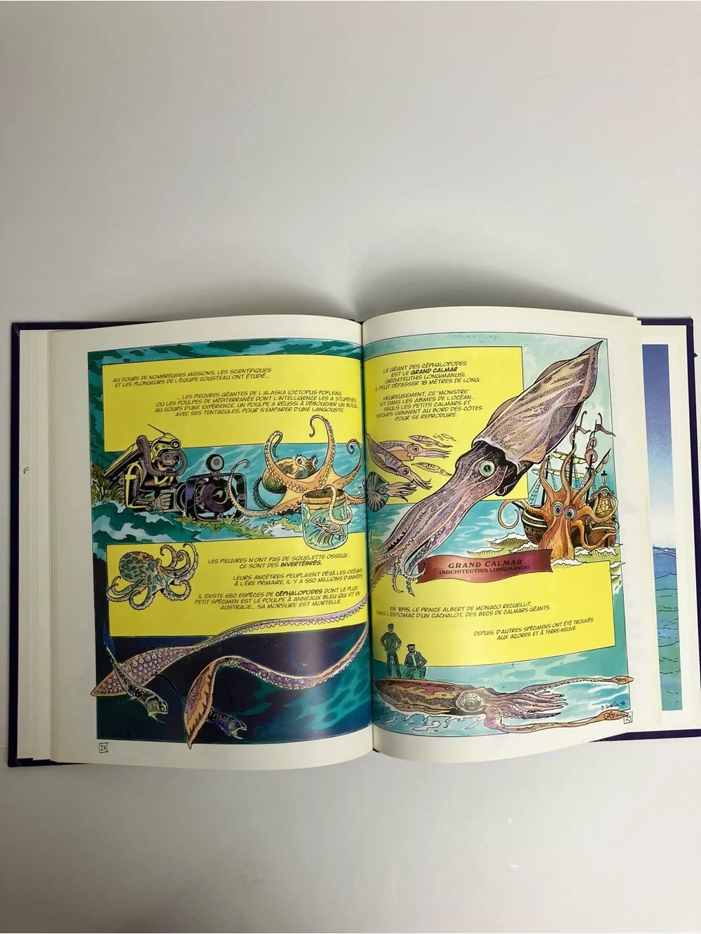 1997 La pieuvre rouge de Bornéo L'Aventure de l'équipe Cousteau en BD Livre Rare - Picture 11 of 17